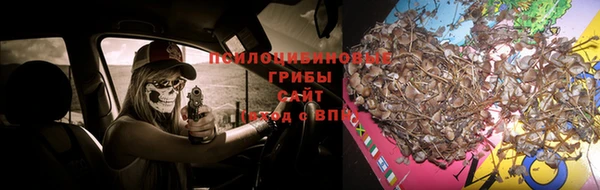 прущий лед Богородицк