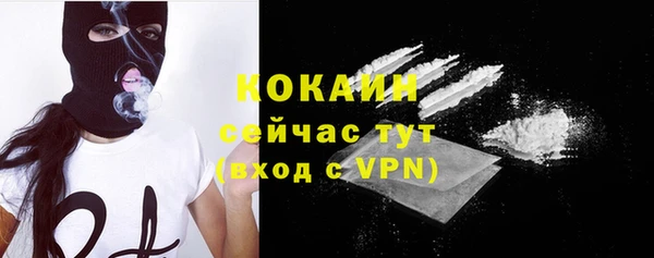 прущий лед Богородицк
