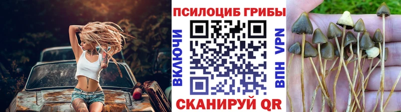 Псилоцибиновые грибы MAGIC MUSHROOMS  Королёв 