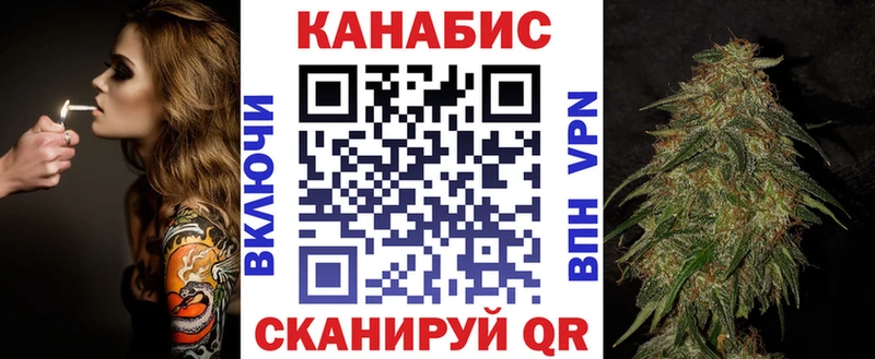 Канабис сатива  ОМГ ОМГ ССЫЛКА  Королёв 